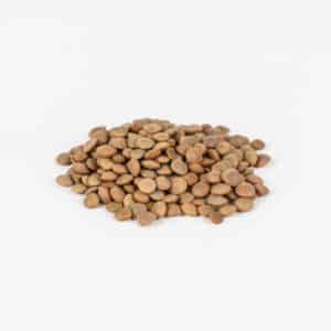 ΦΑΚΕΣ ΛΑΡΙΣΗΣ