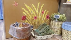 20171024 191344 result