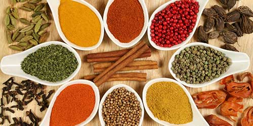 cat banners baharika 1