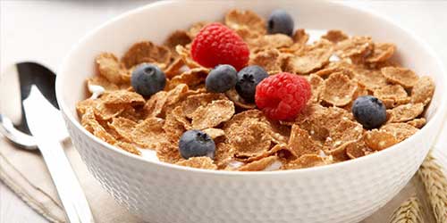 cat banners dimitriaka