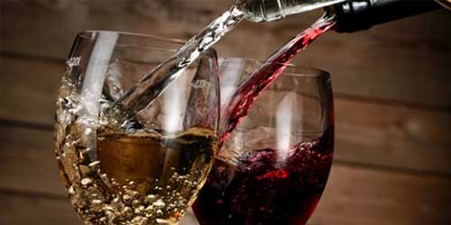 cat banners pota rofimata