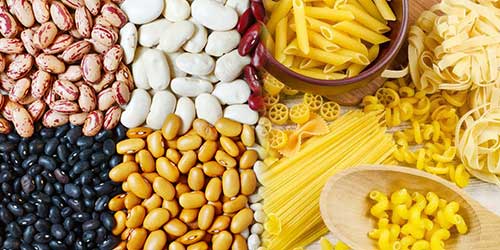 cat banners zimarika ospria