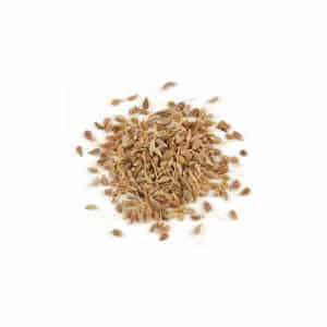 ΓΛΥΚΑΝΙΣΟΣ