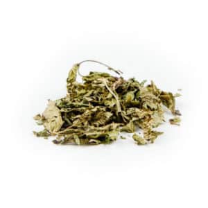 ΜΕΛΙΣΣΟΧΟΡΤΟ