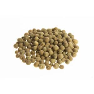 ΜΟΣΧΟΚΑΡΥΔΟ ΑΚΟΠΟ