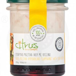 ΥΠΟΒΡΥΧΙΟ ΜΑΣΤΙΧΑ ΧΙΟΥ ΜΕ ΒΥΣΣΙΝΟ 250GR