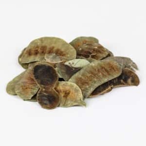 ΦΥΛΛΑ ΑΙΓΥΠΤΟΥ