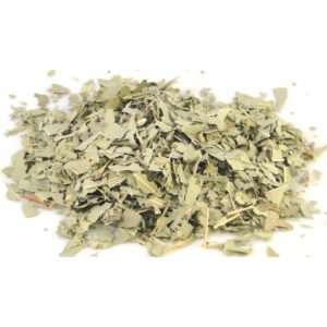 ΕΥΚΑΛΥΠΤΟΣ