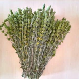 ΤΣΑΙ ΒΟΥΝΟΥ ΚΟΖΑΝΗΣ 100GR