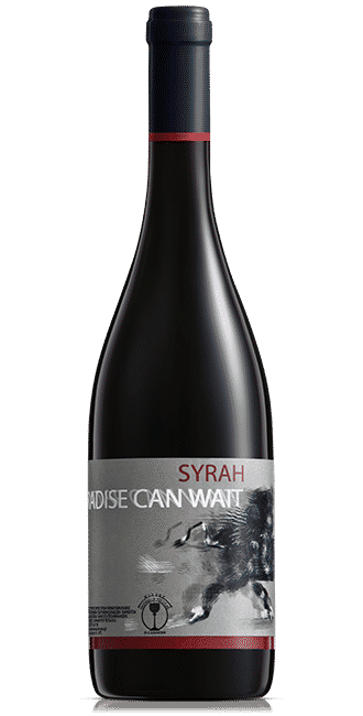 big wine PARADISE CAN WAIT RED DRY WINE WINERY MONSIEUR NICOLAS