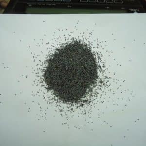 ΠΑΠΑΡΟΥΝΟΣΠΟΡΟΣ 100ΓΡ