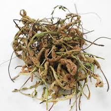 ΣΚΟΡΠΙΔΟΧΟΡΤΟ