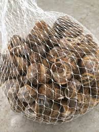 ΣΑΛΙΓΚΑΡΙΑ ΦΡΕΣΚΑ 1000GR