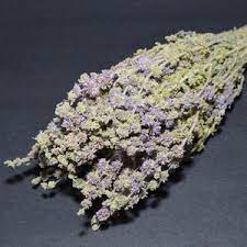 ΦΛΙΣΚΟΥΝΙ 100GR