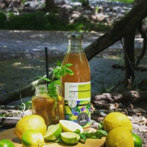 ΣΥΜΠΥΚΝΩΜΕΝΟΣ ΧΥΜΟΣ ΓΚΡΙΚ ΜΟΧΙΤΟ (ΜΕ STEVIA) ΧΥΜΟΣ ΛΕΜΟΝΙΟΥ ΜΕ 5 ΕΛΛΗΝΙΚΑ ΒΟΤΑΝΑ 1LT