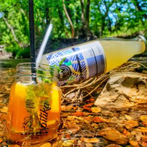 ΣΥΜΠΥΚΝΩΜΕΝΟΣ ΧΥΜΟΣ ΥΠΟΒΡΥΧΙΟ (ΜΕ STEVIA) ΧΥΜΟΣ ΛΕΜΟΝΙΟΥ ΜΑΣΤΙΧΑ ΧΙΟΥ ΚΑΙ ΒΑΝΙΛΙΑ 1LT