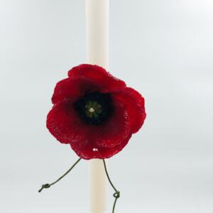 ΛΑΜΠΑΔΑ ΠΑΠΑΡΟΥΝΑ