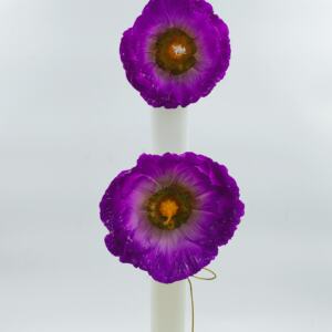 ΛΑΜΠΑΔΑ ΜΩΒ ΛΟΥΛΟΥΔΙΑ